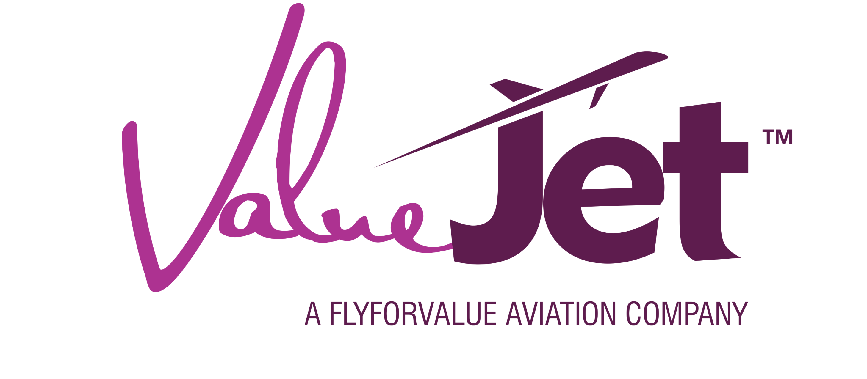 ValueJet Logo